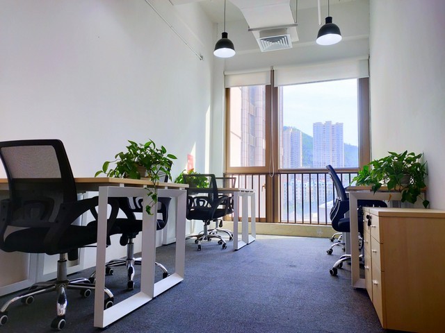 成都白底白纸服务商